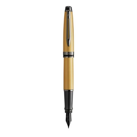 Pióro Wieczne Waterman Expert RT F Gold